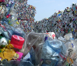 plastik &uuml;ber alles